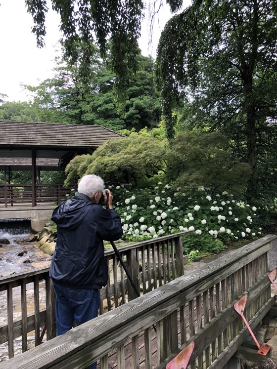 A person in a blue jacket standing on a small wooden bridge photographing trees.